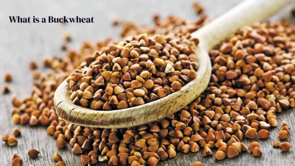 What is a Buckwheat